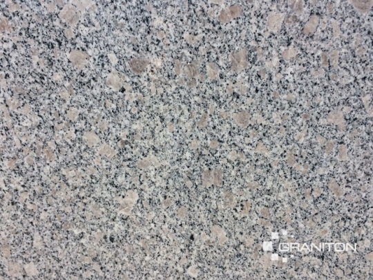 Płytki Granitowe Pearl Flower 60x60x2cm Polerowane